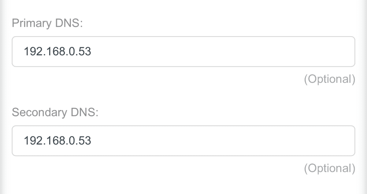 A router’s administration page showing primary and secondary DNS fields with the same address in both.